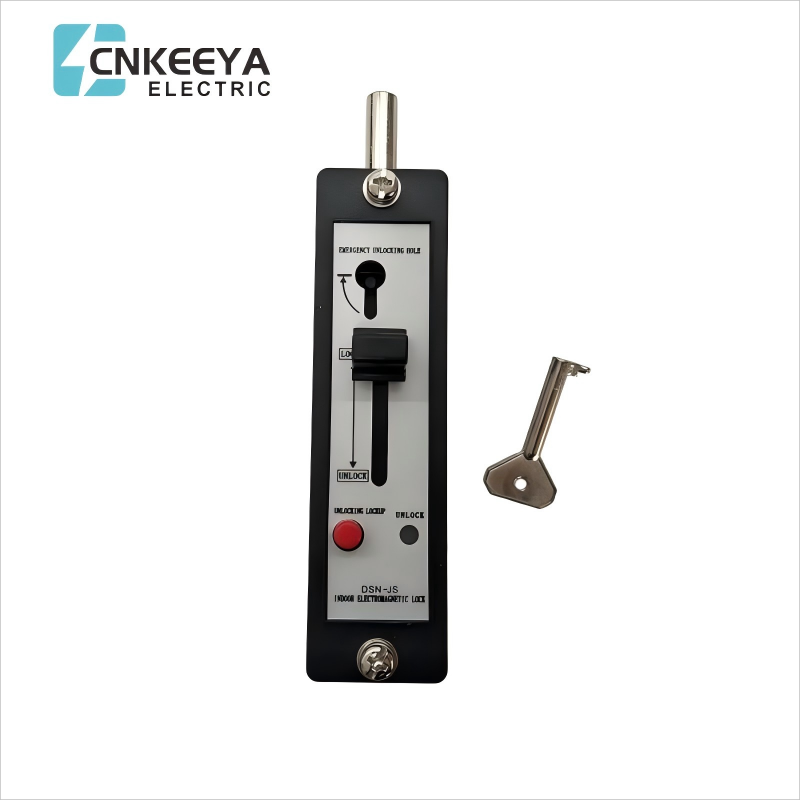 Công tắc tiếp đất Khóa điện từ DSN-JZ DC24