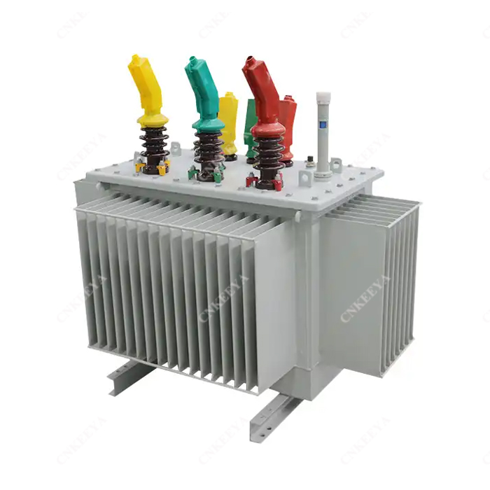 Máy biến áp ngâm dầu 250kVA-1000kVA: Lưới điện trung bình